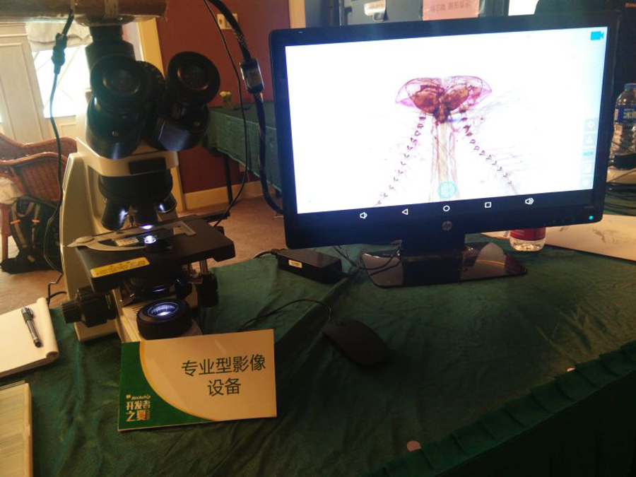 MG冰球突破(中国游)官方网站